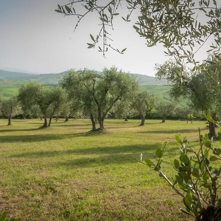 Arpicella * Pienza
